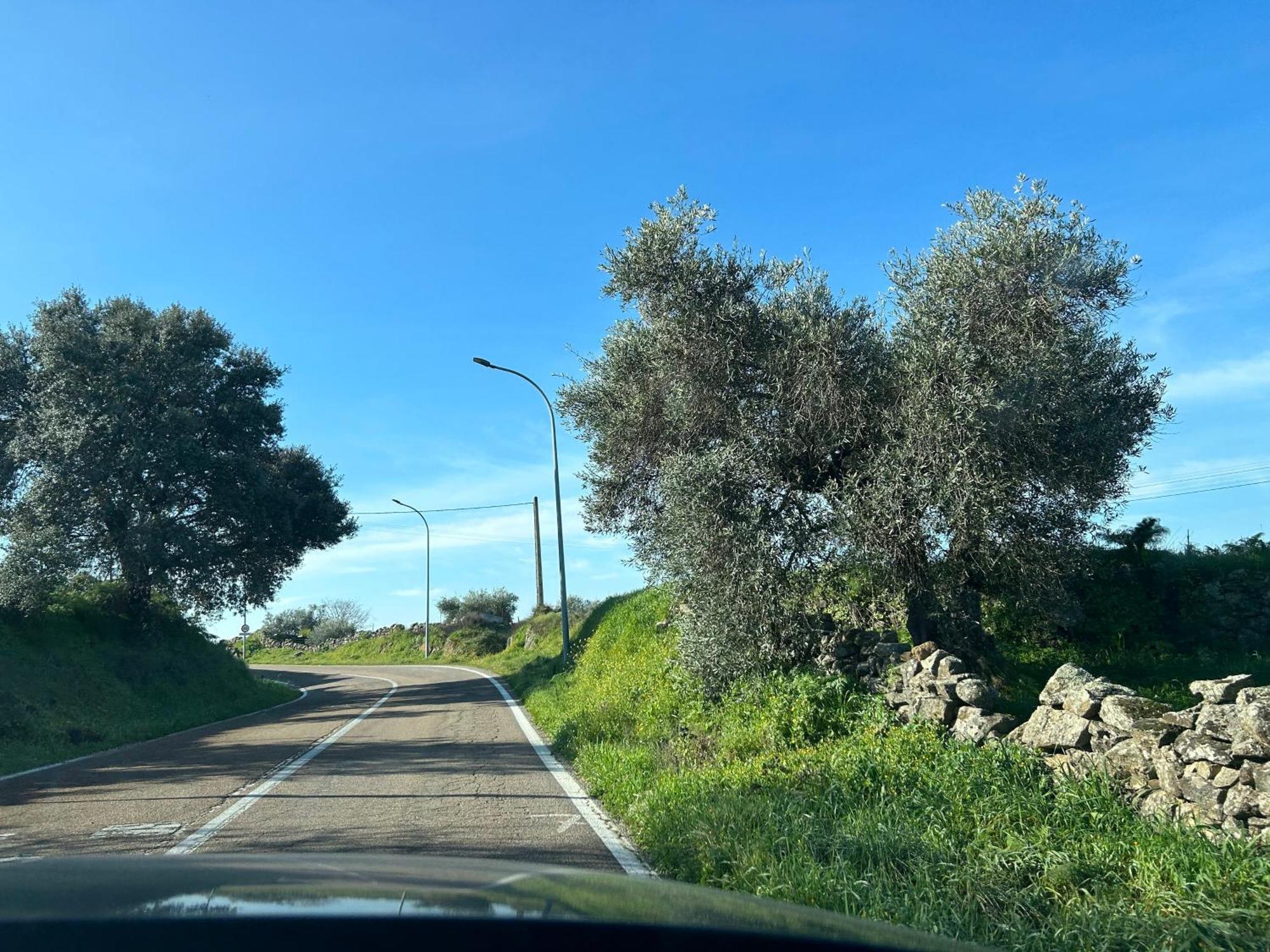 Casa Rural La Manzanilla Salvatierra de Santiago Ngoại thất bức ảnh